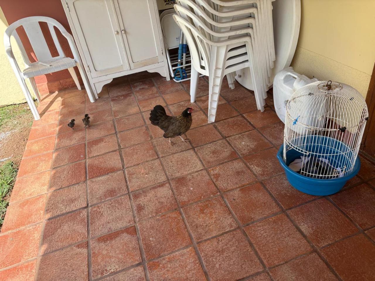 Pousada Duas Marias Lindóia Exterior foto
